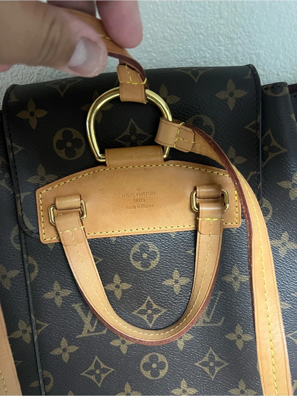Louis Vuitton signature louis